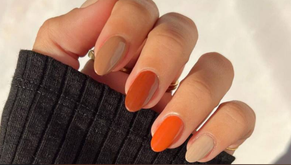 Autumn Palette Shift