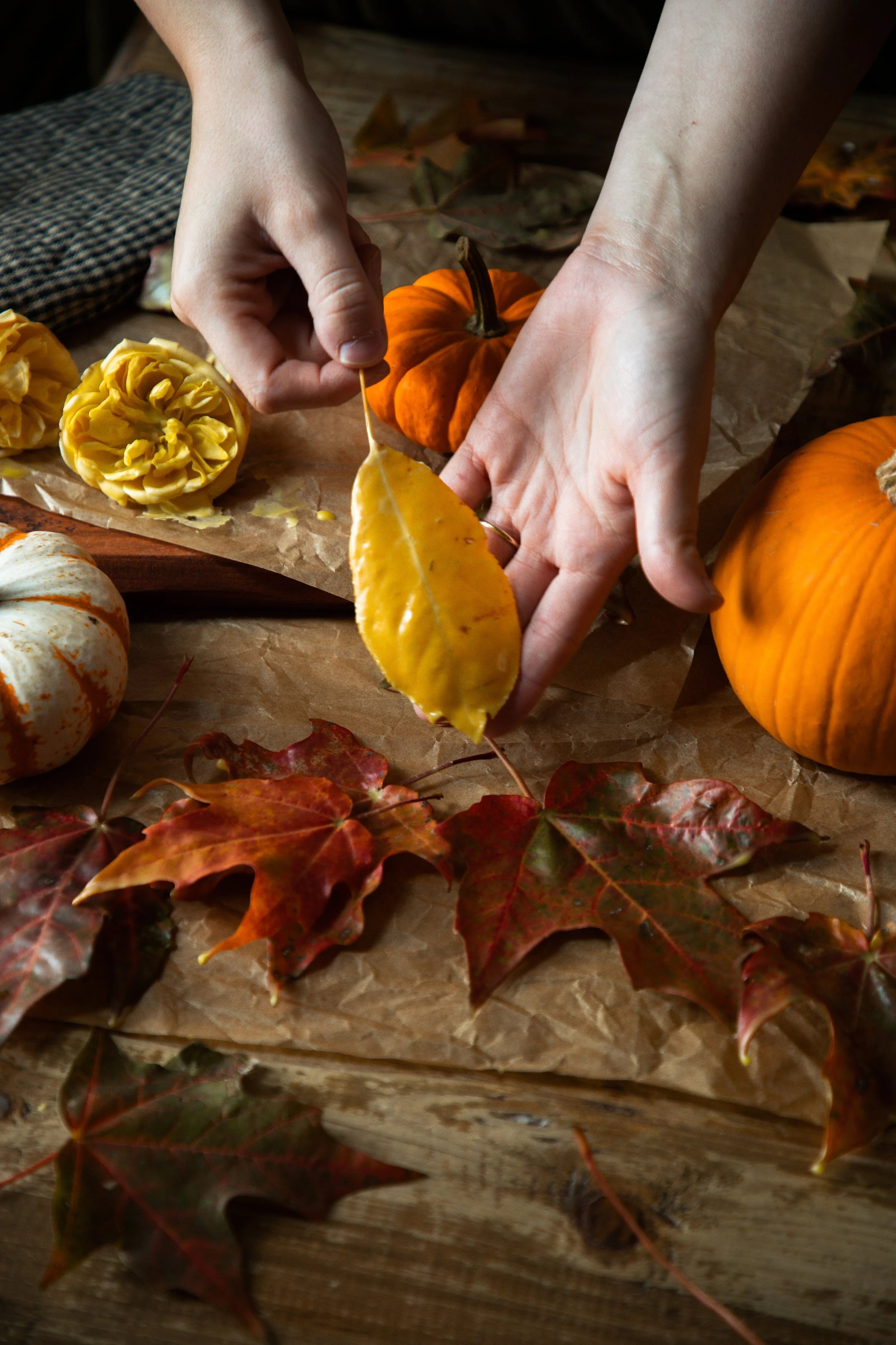 Hands holding an autumn leaf during the beeswax preservation process